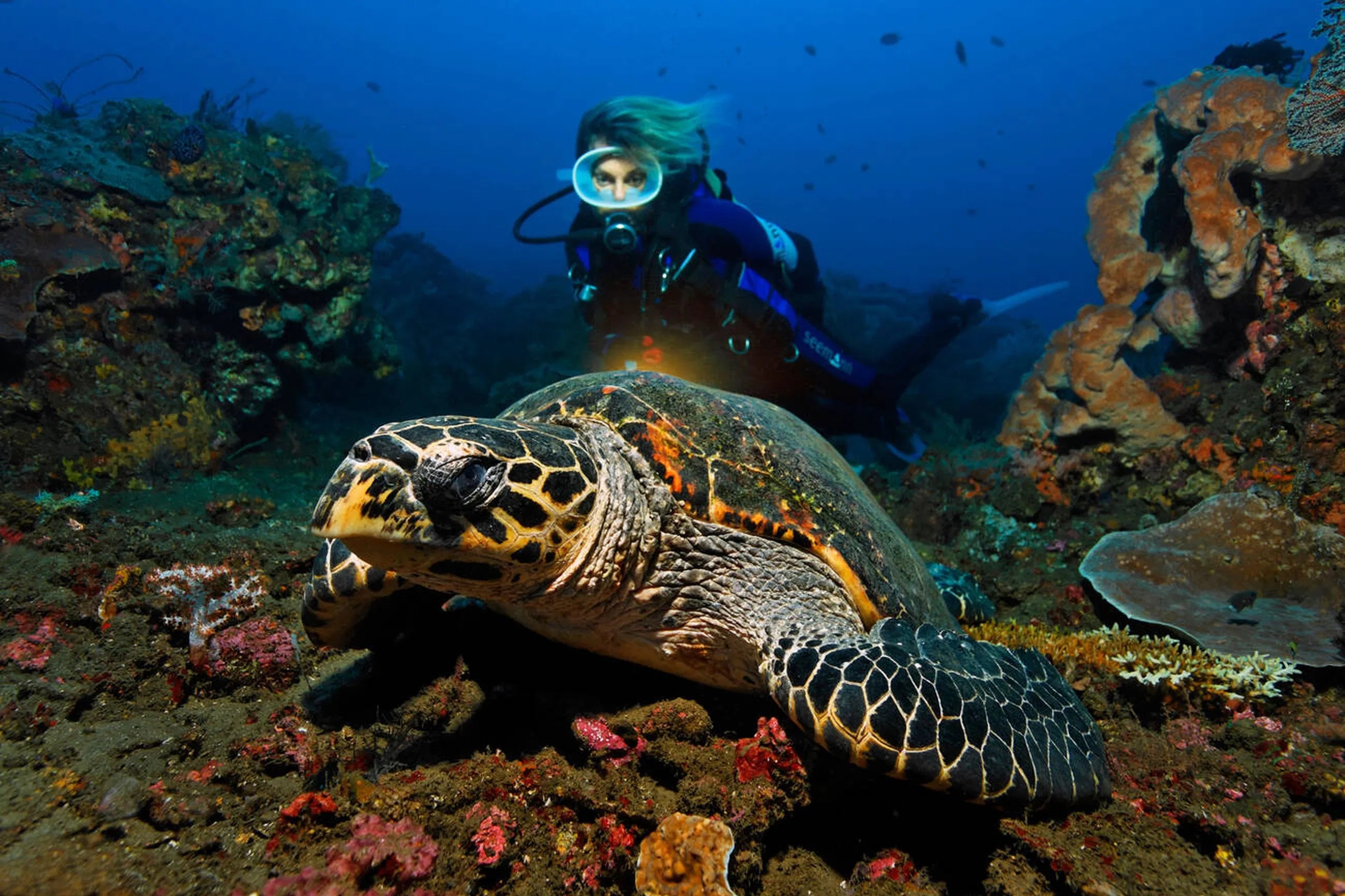 Things to Do in Andaman Nicobar Islands